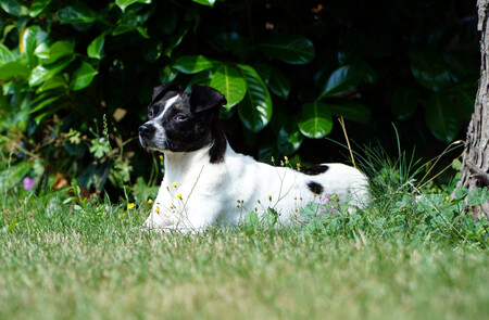 annie-garten-pause.jpg