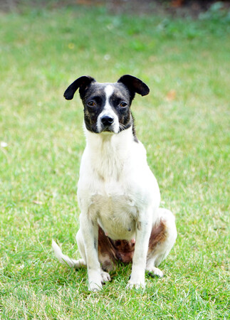 annie-wiese1.jpg