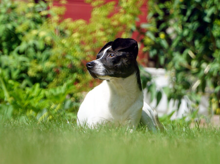 annie-wiese2.jpg